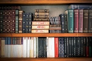 Rethinking the Legal Status of Animals: From Welfare Paradigm to Structural Reform